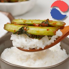 밥도둑 갓김치 맛있는 국내산 별미 김치 1kg, 3kg