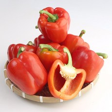 파프리카 국내산 신선한 파프리카 샐러드 채소 더맛상, 1박스, 1kg(색상혼합)