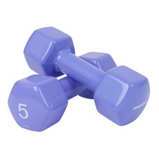 아이워너 육각 아령 5kg 세트 뷰티 미용 덤벨, 2개