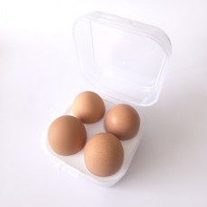 에그케이스 4구 케이스 파손방지 캠핑용 휴대용 계란 계란보관함_2026FW-TR2, 1개