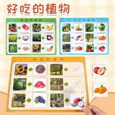 Gabe Montessori 植物與果實配對教具, 1個