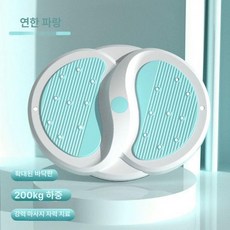 운동기구 복부 운동 가정용 홈트 전신 유산소 홈짐 허리, 1개, 라이트블루 마사지+자기치료