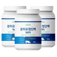 분리유청단백질 WPI 분말 프로틴 보충제 쉐이크 파우더, 400g, 3개
