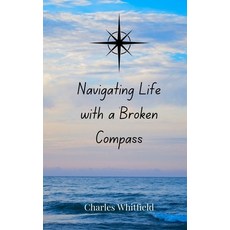 (영문도서) Navigating Life with a Broken Compass Paperback, Creative Arts Management Ou, English, 9783690856348