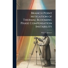 (영문도서)Branch Point Mitigation of Thermal Blooming Phase Compensation Instability Hardcover, Hutson Street Press, English, 9781025124438