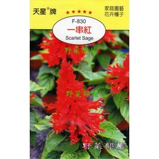 天星牌 一串紅種子 (Scarlet Sage) F-830 - 野菜部屋穗耕種苗, 1包
