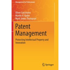 (영문도서) Patent Management: Protecting Intellectual Property and Innovation Paperback, Springer, English, 9783030590116