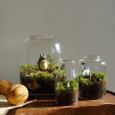 테라리움 이끼 DIY 만들기 키트 공기정화 반려 인테리어 화분 코르크테라리움A, A