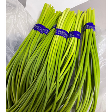 중국산) 신선 마늘쫑 산지직송 사계절 마늘쫑 아삭아삭 마늘종, 1개, 2kg