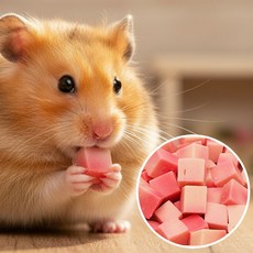 햄스터 먹이 간식 마루칸 딸기 우유큐브 소분 20g, 1개