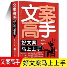 市場廣告營銷寫作與變現創作策劃與創意書籍 椰子圖書, 文案高手