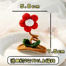 寵物髮夾帽子套裝：狗狗貓咪可愛造型髮飾配件，多款髮夾、帽子可選, 1個, 立體小紅花