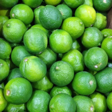 [초특가할인] 프리미엄 신선한 생라임 멕시코 라임, 1개, 못난이 실속형 랜덤과 5kg