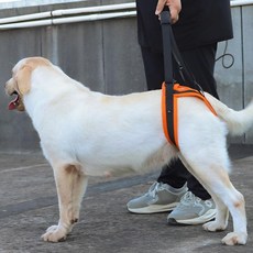 강아지 리프트 하네스 지지대 목줄 가슴줄 GIIPET 뒷발용 케어 산책 보조 간호용 뒷다리 지원 보호견 관절 지지, L【발둘레 42-52CM(15kg 이하에 적합합니다)】