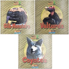 Animals That Live in the Desert 사막 동물 영어책 유아 초등 영어 논픽션 AR 1점대 (3종 택1), B