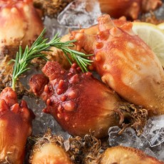 탱글탱글! 신선한 당일수확 통영 멍게, 1개, 특품 활멍게 2kg