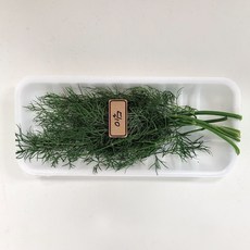 야채왕 허브 생잎 딜 Dill 10g 향신료 1팩, 1개