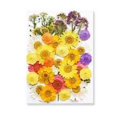 레진 아트 재료 UV 공예 에폭시 송진 필링용 말린 꽃 천연 식물 압착 DIY 펜던트 만들기 조화 생화, 20. O