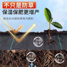 抑草地布 保濕保肥鎖水透水加厚耐用, 1個