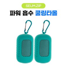 세움집 파워 흡수 스포츠 쿨타올 1+1 등산 헬스 러닝 운동용 땀수건, 1세트, 민트