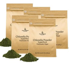 퓨어 클로렐라 슈퍼푸드 파우더 PURE ORIGINAL INGREDIENTS Chlorella, 5개, 226g