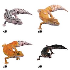 【M.M小舖 現貨】BANDAI 轉蛋 扭蛋 生物大圖鑑 進擊 豹紋壁虎 壁虎 爬蟲類 模型 圖鑑 生物 全4款, 1個, #不補整套3C211