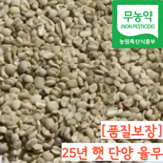 25년 국산 무농약 율무, 1개, 500g