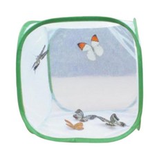 배추흰나비 한살이 관찰 키우기 사육장 투명창 과학체험 채집통, 1개, 화이트그린