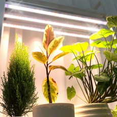 식물전파사 꿀빠 딥그린 식물등 식물조명 선반 밑 많은 화분 led식물등 세트, 1세트, 주백색