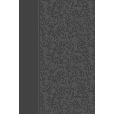 The Passion Translation New Testament (2020 Edition) Gray: With Psalms Proverbs and Song of Songs Imitation Leather, Broadstreet Publishing