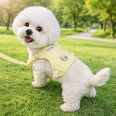 [파라쥬]강아지 하네스 리드줄 세트 배변케이스 포함 소형견 산책 준비 올인원 앞섬방지, 1개, 하네스크림옐로우