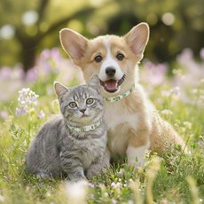 아띠꼴로 1+1 강아지 모기 진드기 퇴치제 벌레퇴치 해충방지 목걸이 산책용품, 민트, 2개, 36ml