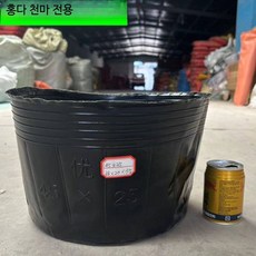 모종트레이 묘목 육묘 재배용 비닐 파종판 화분 텃밭상자 양묘용기, 1개, 노화 방지 45x25 실제 38x20