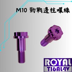 【瘋螺絲】ROYAL 鈦合金螺絲 山葉專用鈦合金邊柱螺絲 64鈦/正鈦 皇家紫, 1個