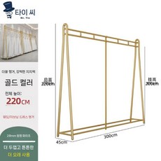 웨딩 행거 북유럽 옷걸이 이동식 드레스 스탠드 웨딩샵 진열대, 대담한 금 3m 2.2m높이
