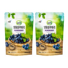 뉴뜨레 냉동 블루베리, 1kg, 2개