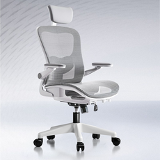 HOMEY NEST 메쉬 사무실 사무용의자 3D팔걸이 틸팅가능 요추 허리보호 체어 HN-OC107, 화이트
