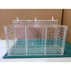 台灣製壓克力三格隔離盒，30.7*12*15.8，適用於孔雀魚、短鯛、異形、螯蝦、海水缸【貓的水族】, 1個