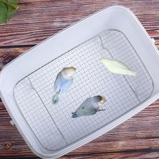 鸚鵡大中小不鏽鋼網墊：幼鳥手養必備，隔糞隔屎，預防八字腳，堅固耐用易清潔, 1個, 不鏽鋼隔糞網/1個