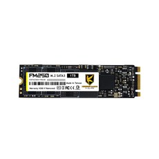AITC KINGSMAN FM250 M.2 SATA SSD, 1TB