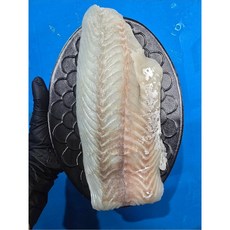 여름제철 자연산 점농어 필렛 400g