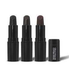 모에타 흰머리닷컴 새치커버스틱 3.5g, 1개