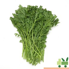 사라상회 쑥갓 2Kg, 1개