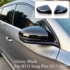 플러스위안 플러스송 프로 순 사이드미러 장식 보호 커버 마모방지, 1개, 5. C