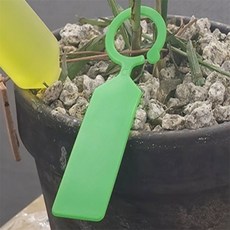 식물이름표 1P 나무팻말, 빨강