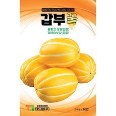더드림 참외씨앗 갑부꿀 10립, 1개