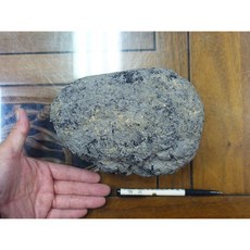 印尼隕石 Agni Manitite 3685g 烈火石 黑隕石