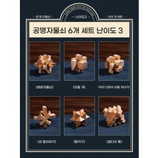 두뇌 개발 퍼즐 잠금 장난감 조립형 전통 구조 블록 IQ 놀이 선물용, [저렴한 6종 세트] 난이도 3, 전체 도안/영상/3D