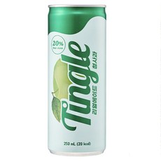 Tingle 리얼에이드 청사과 프리미엄 탄산음료, 30개, 250ml