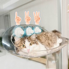 견행묘행 고양이 창문해먹 투명 캣타워, 1개, 투명아크릴